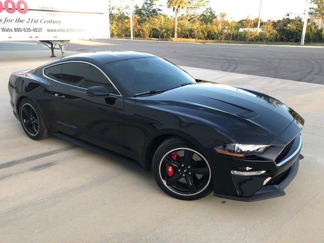 Mustang.jpeg