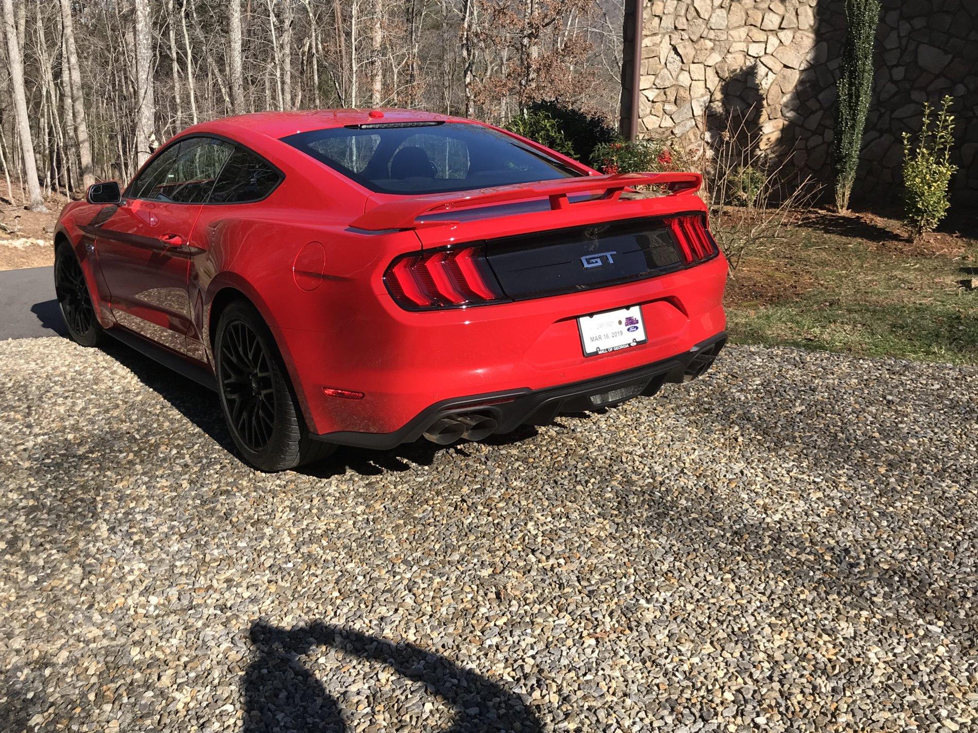 mustang gt1.jpg