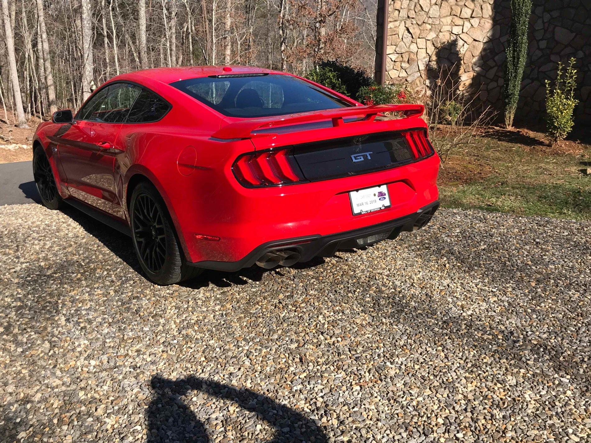 mustang gt1.jpg