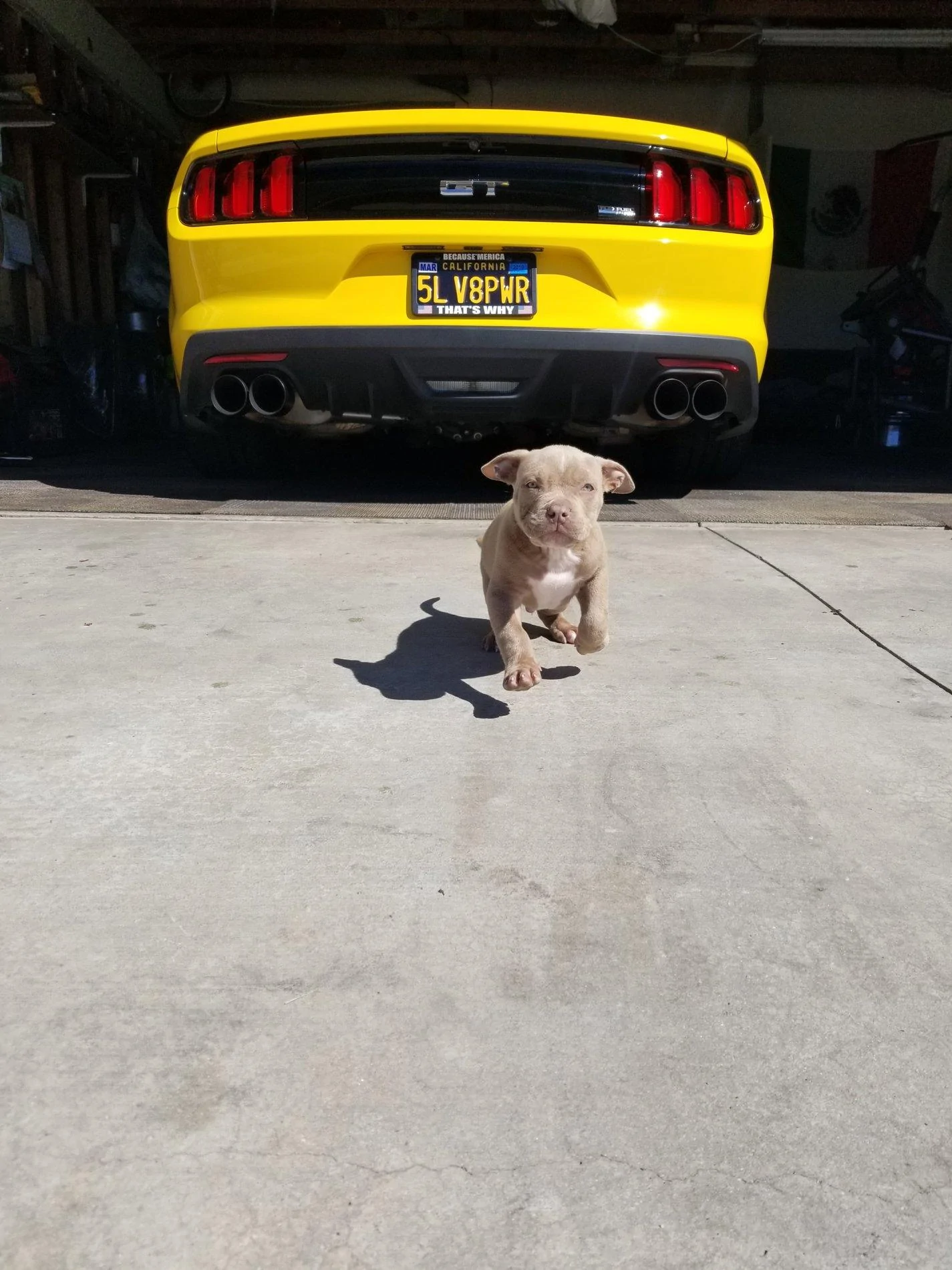 20190315_142843.webp