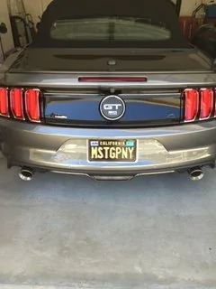 New plates.webp