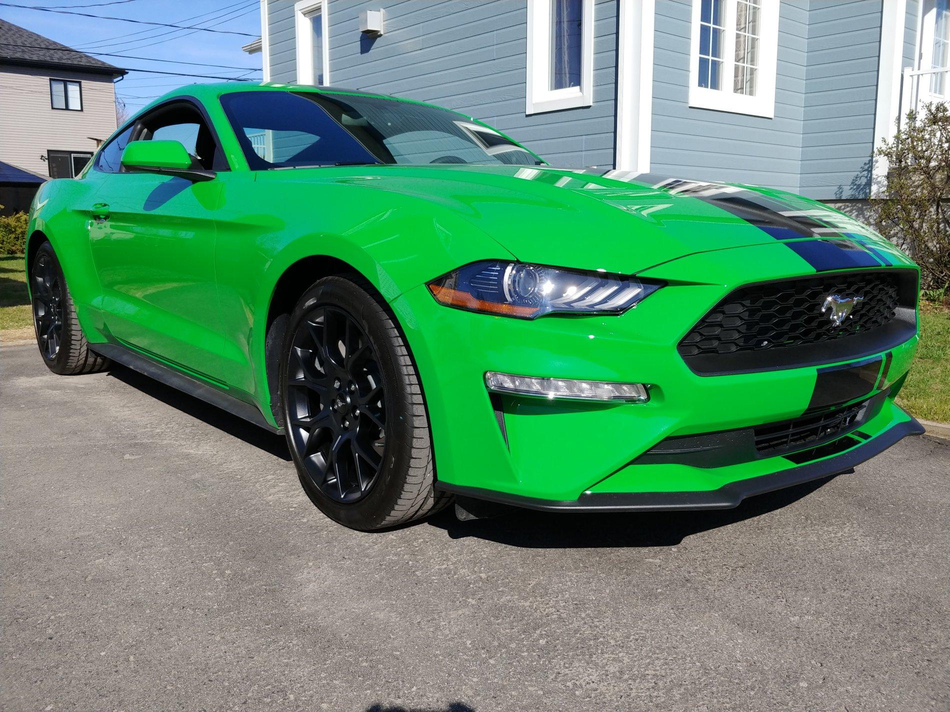 20190508_164935.jpg