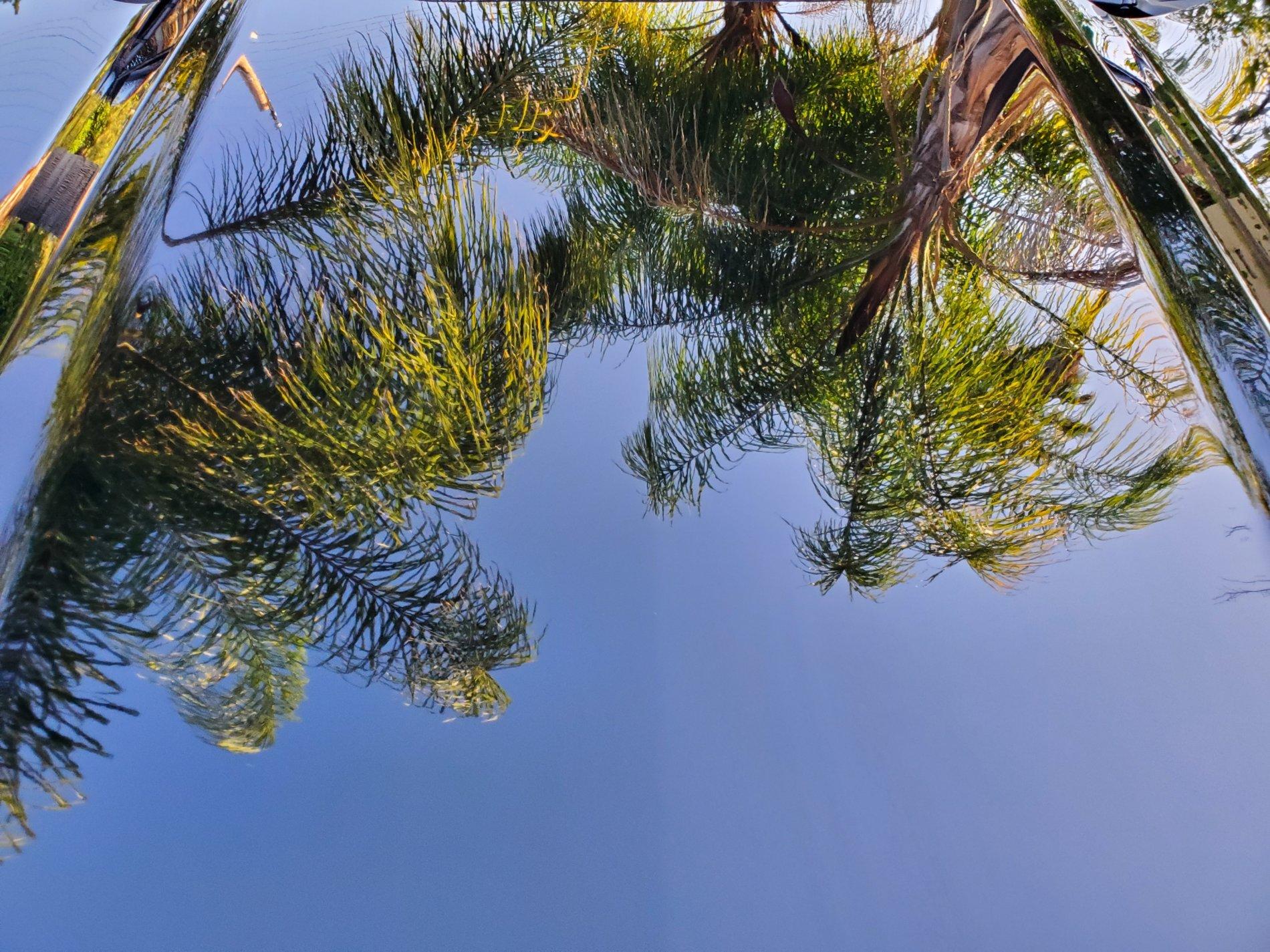 20190517_184915.jpg
