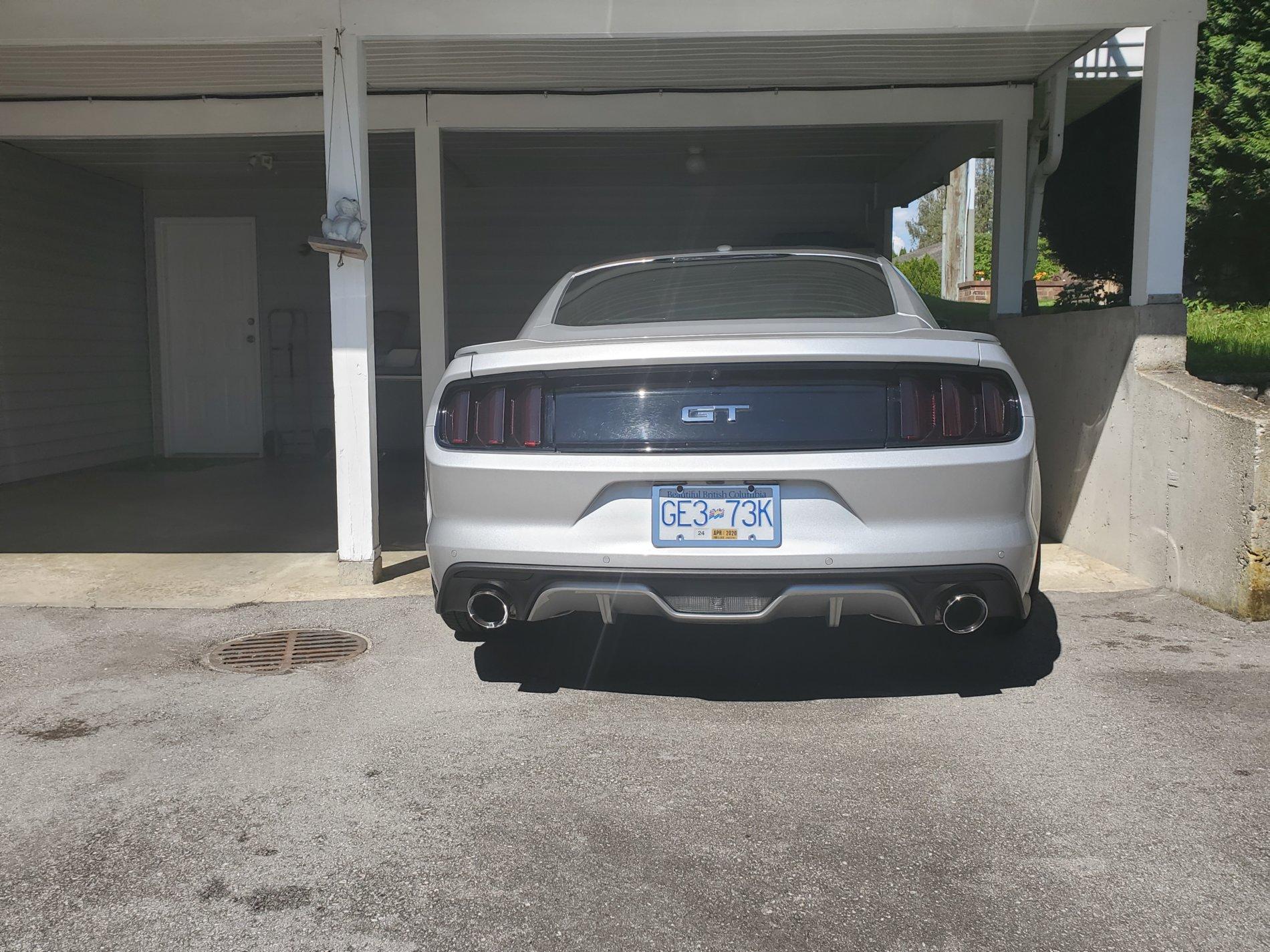 20190523_152412.jpg