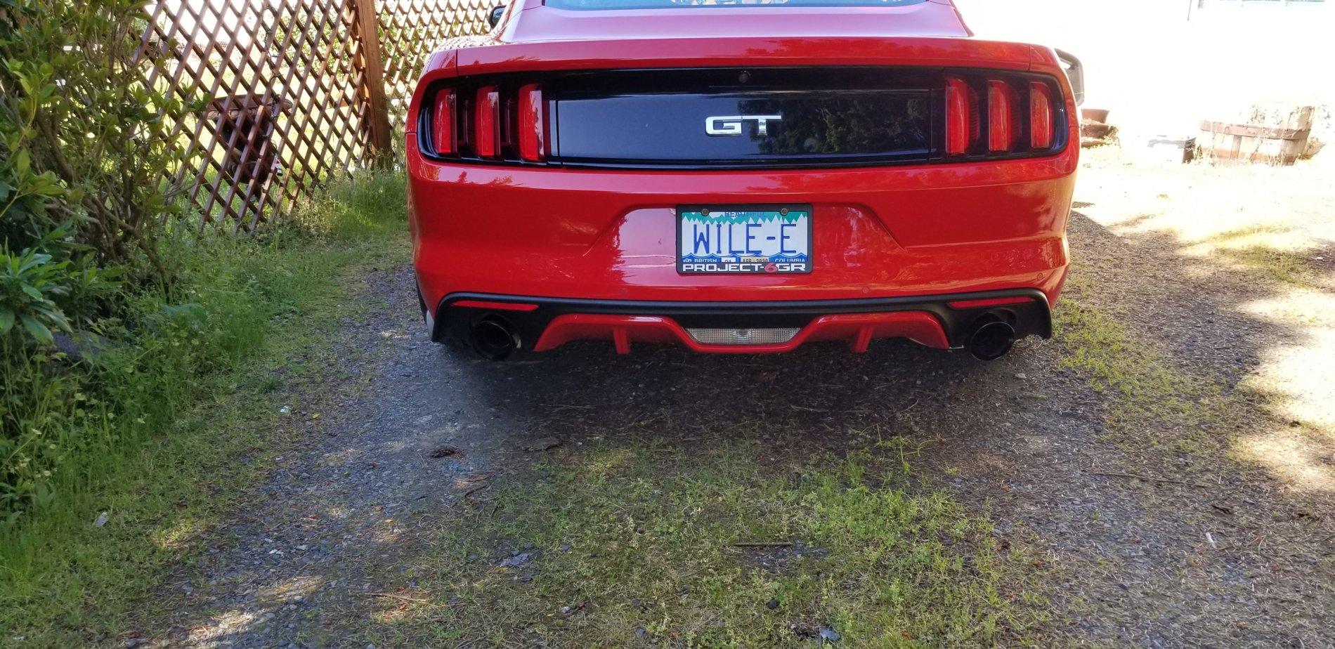 20190523_163756.jpg