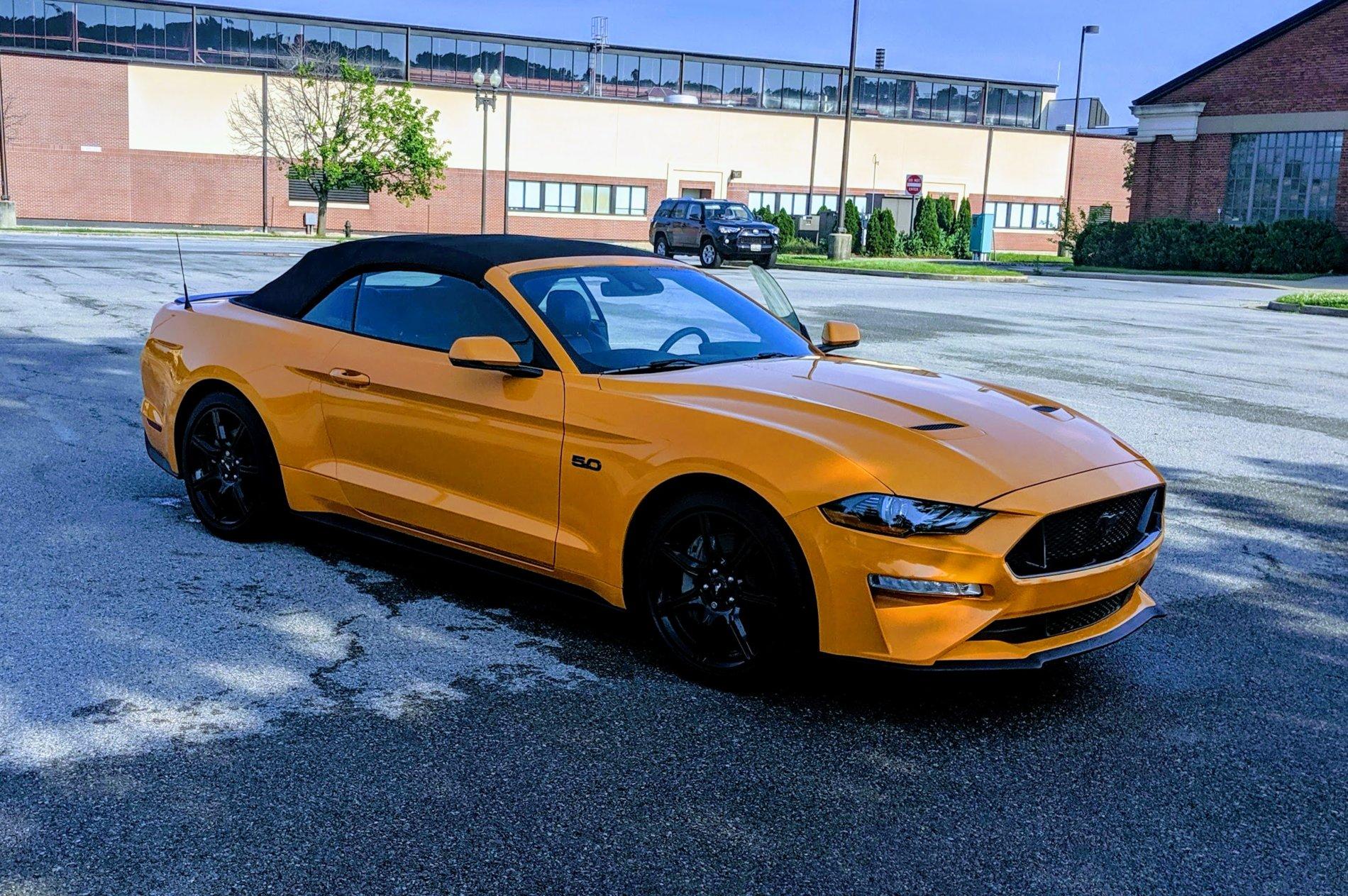 MVIMG_20190519_083257-EFFECTS.jpg