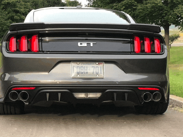 IMG_3427.GIF