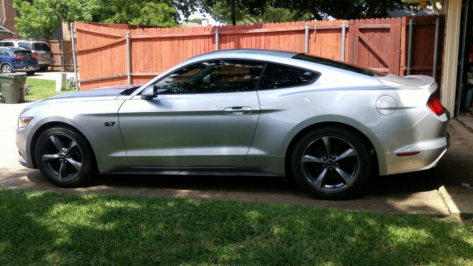 IMG_20190527_stang.jpg