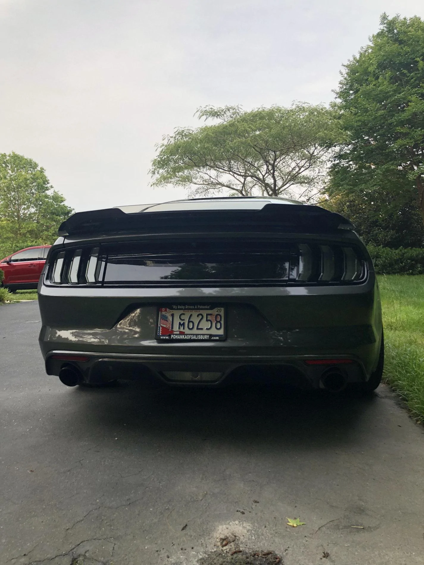 my mustang 2.webp