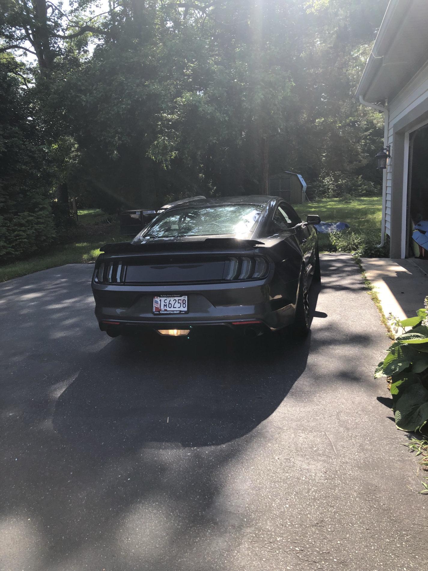 my mustang.jpg