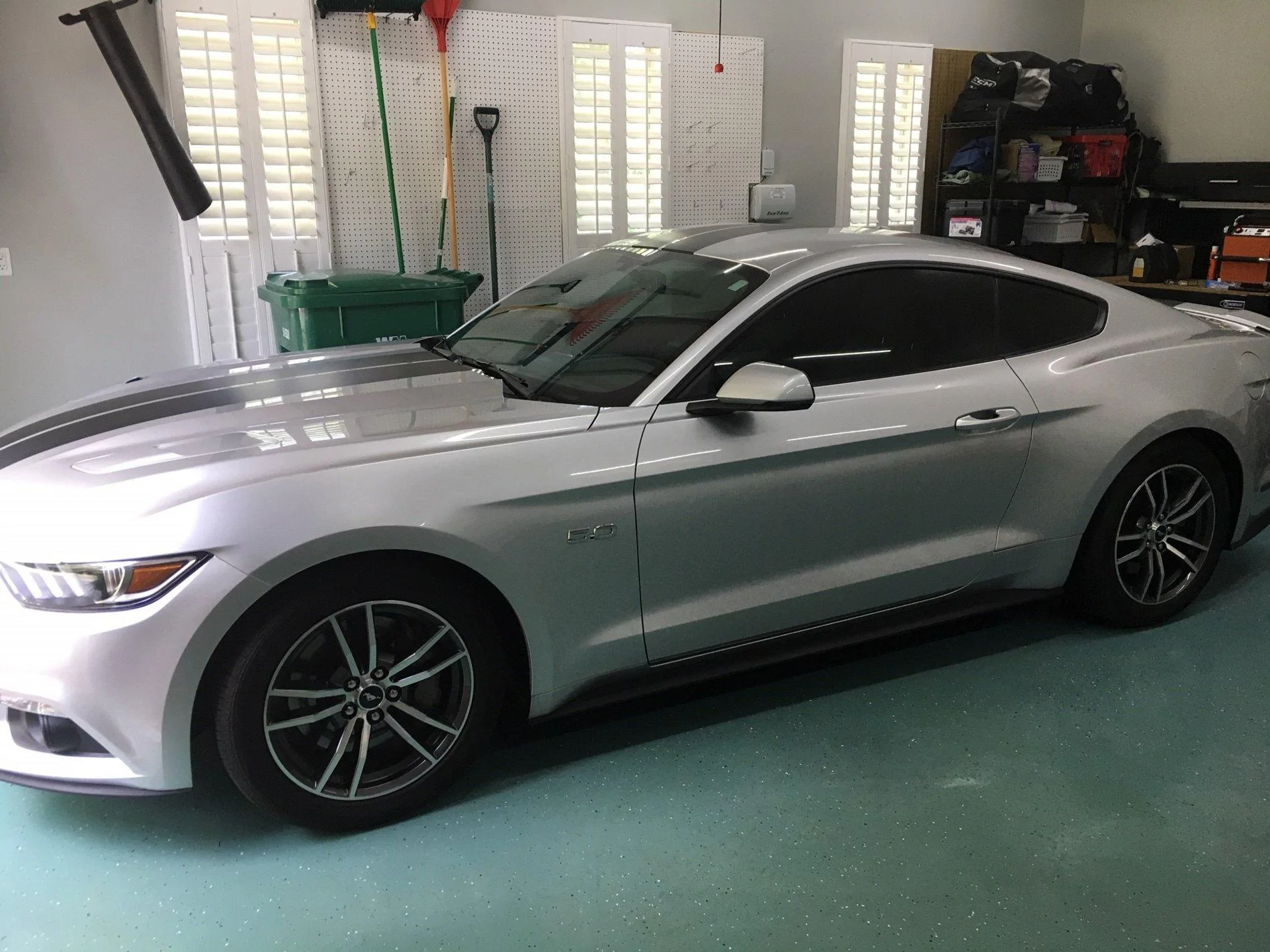 stang.webp