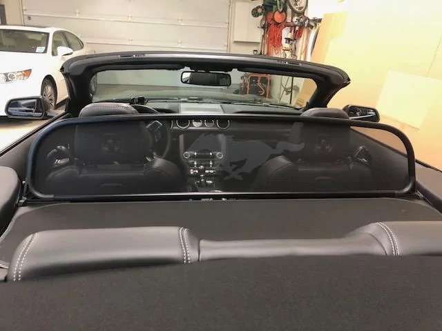 windscreen 7.webp