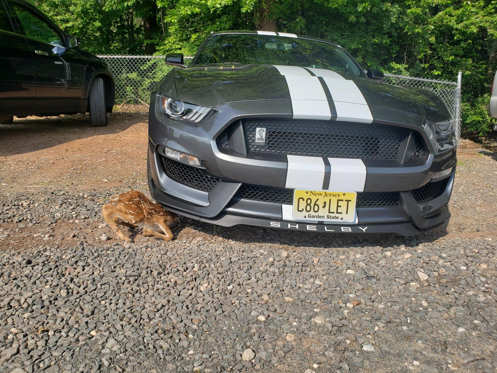 20190602_091722.jpg