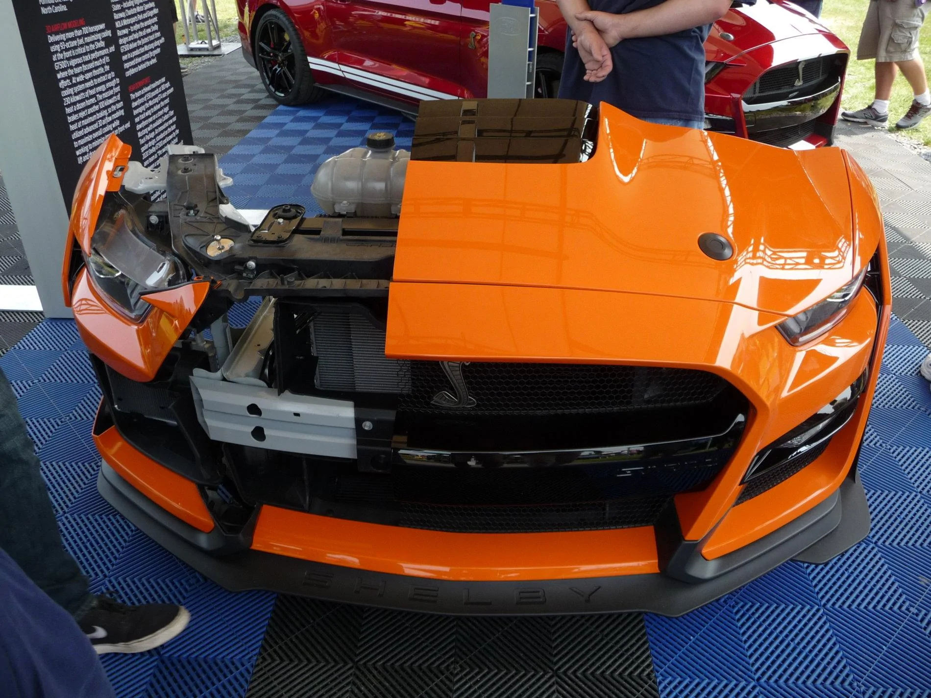 P1230643.webp