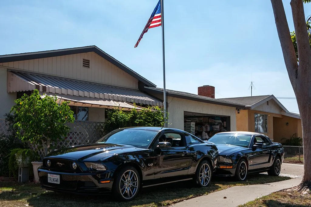 MustangsBlack.webp