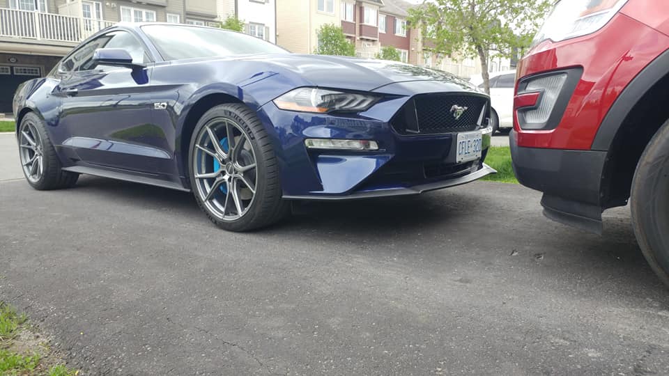 mustang.jpg