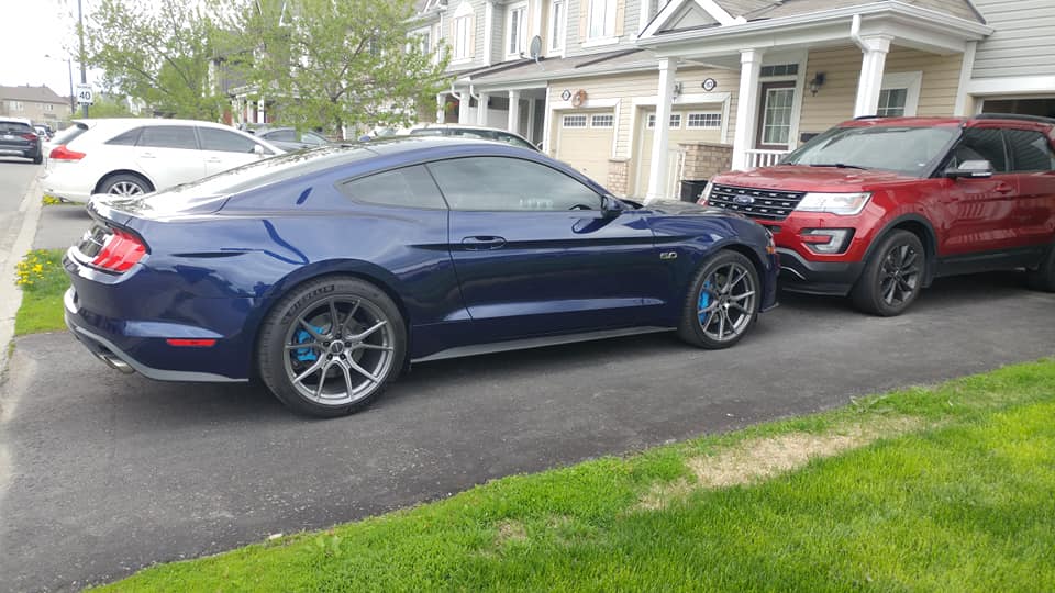 mustang2.jpg