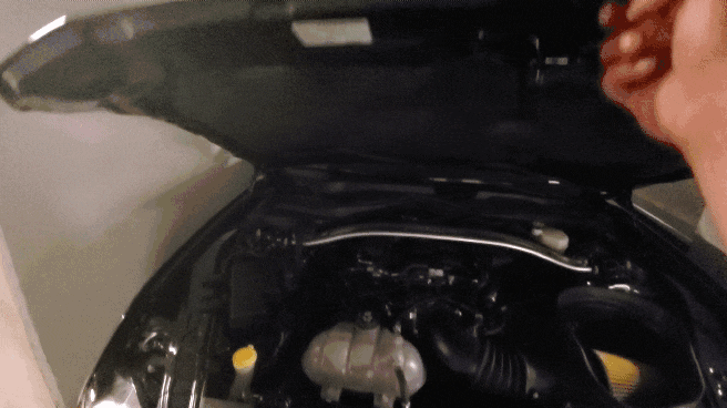 20190607_025920_1.gif
