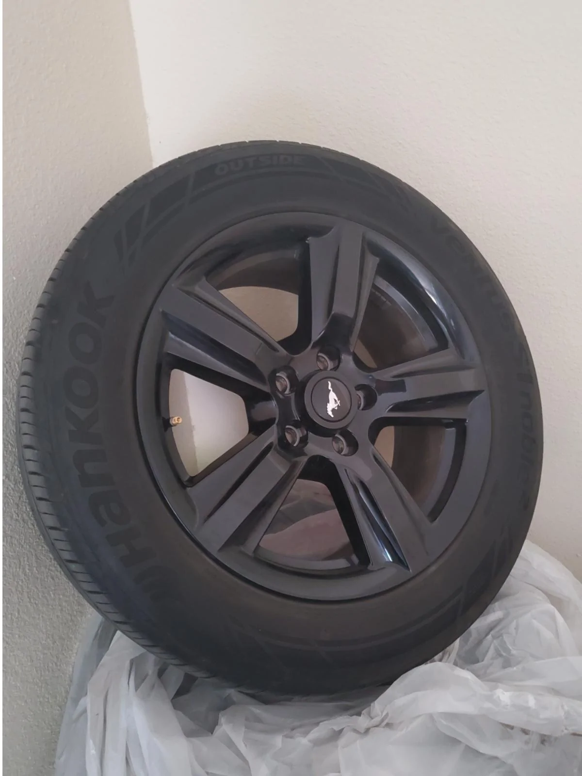 wheel1.webp