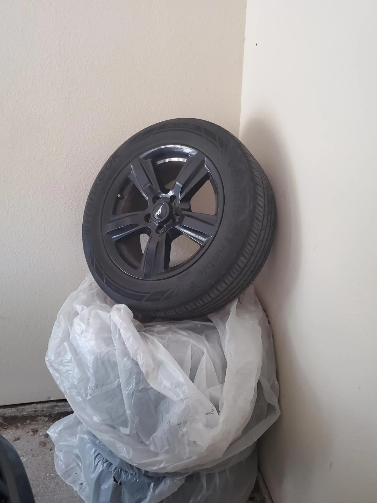 wheel2.webp