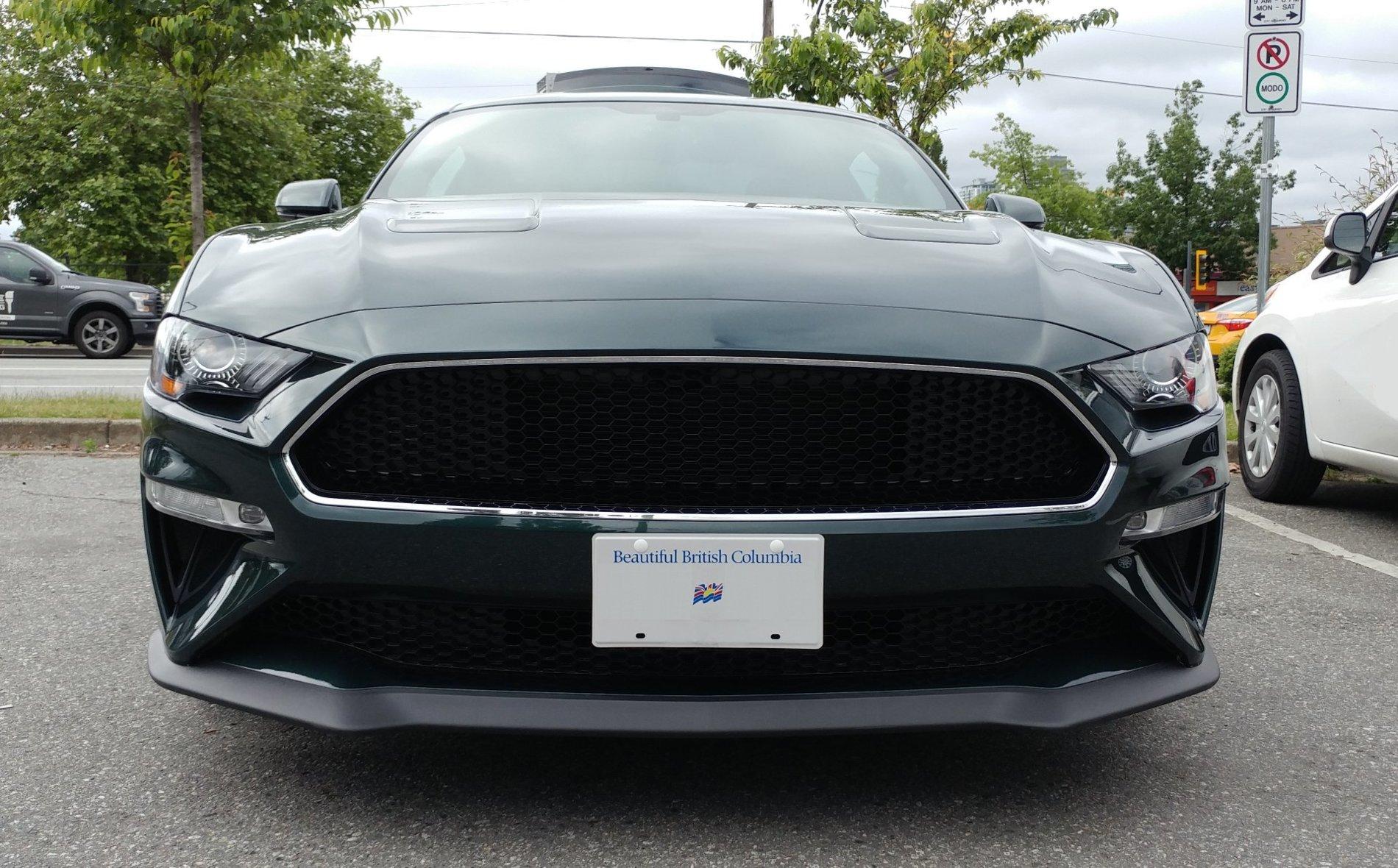 Craigs Mustang Bracket with plate installed.jpg