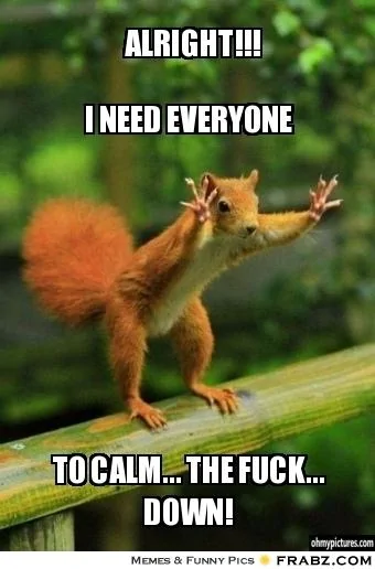 frabz-I-need-everyone-To-CALM-the-fuck-down-ALRIGHT-61fc12.webp