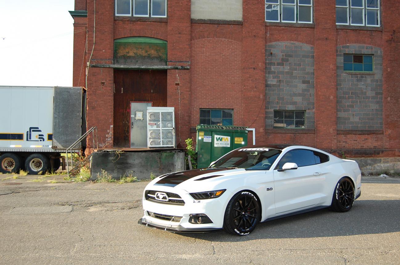 DSC_0854 Resize.jpg
