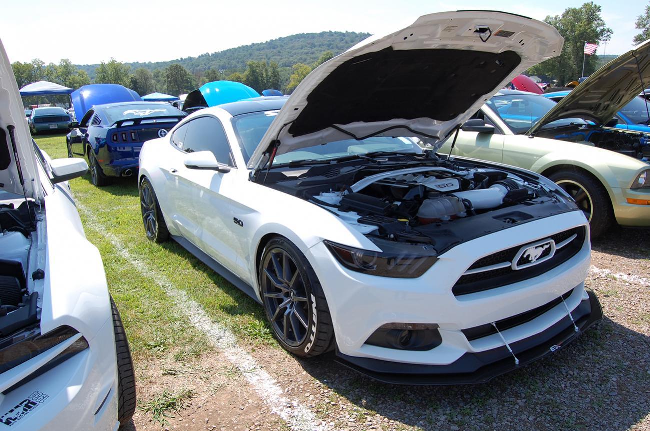 DSC_0833 Resize.jpg