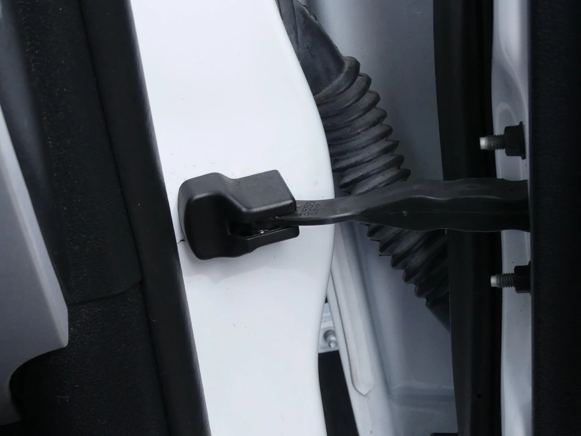P1070030 hinge cover.webp