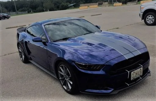 stang.webp