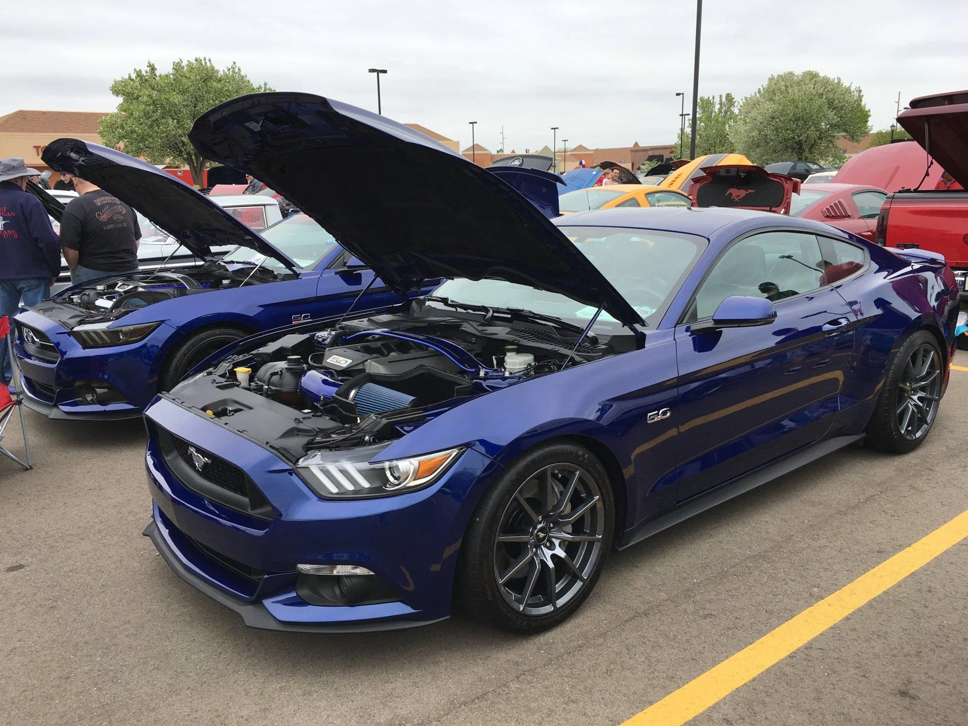 GLS First Place 18-May-19.webp