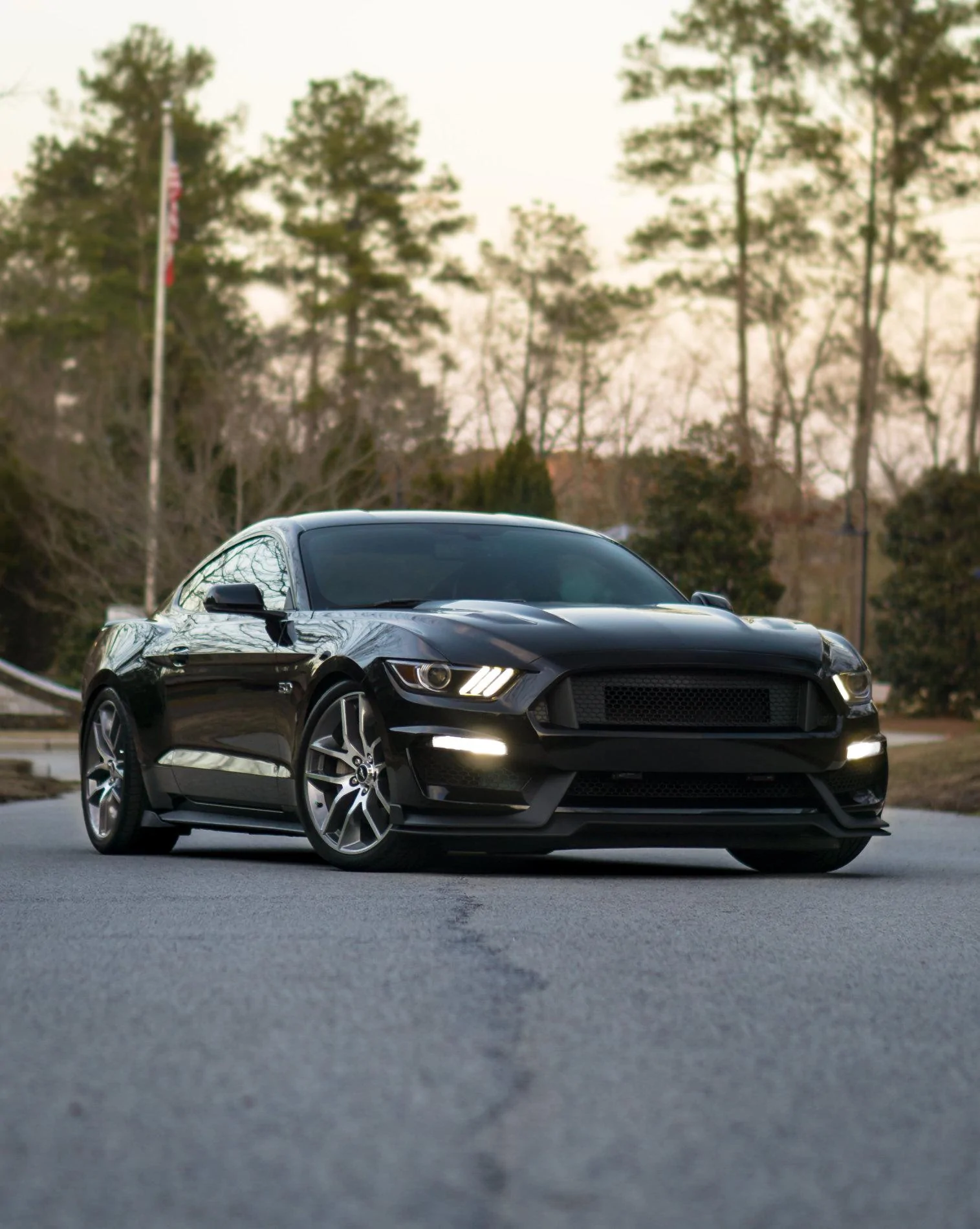 _DSC2610-Edit.webp