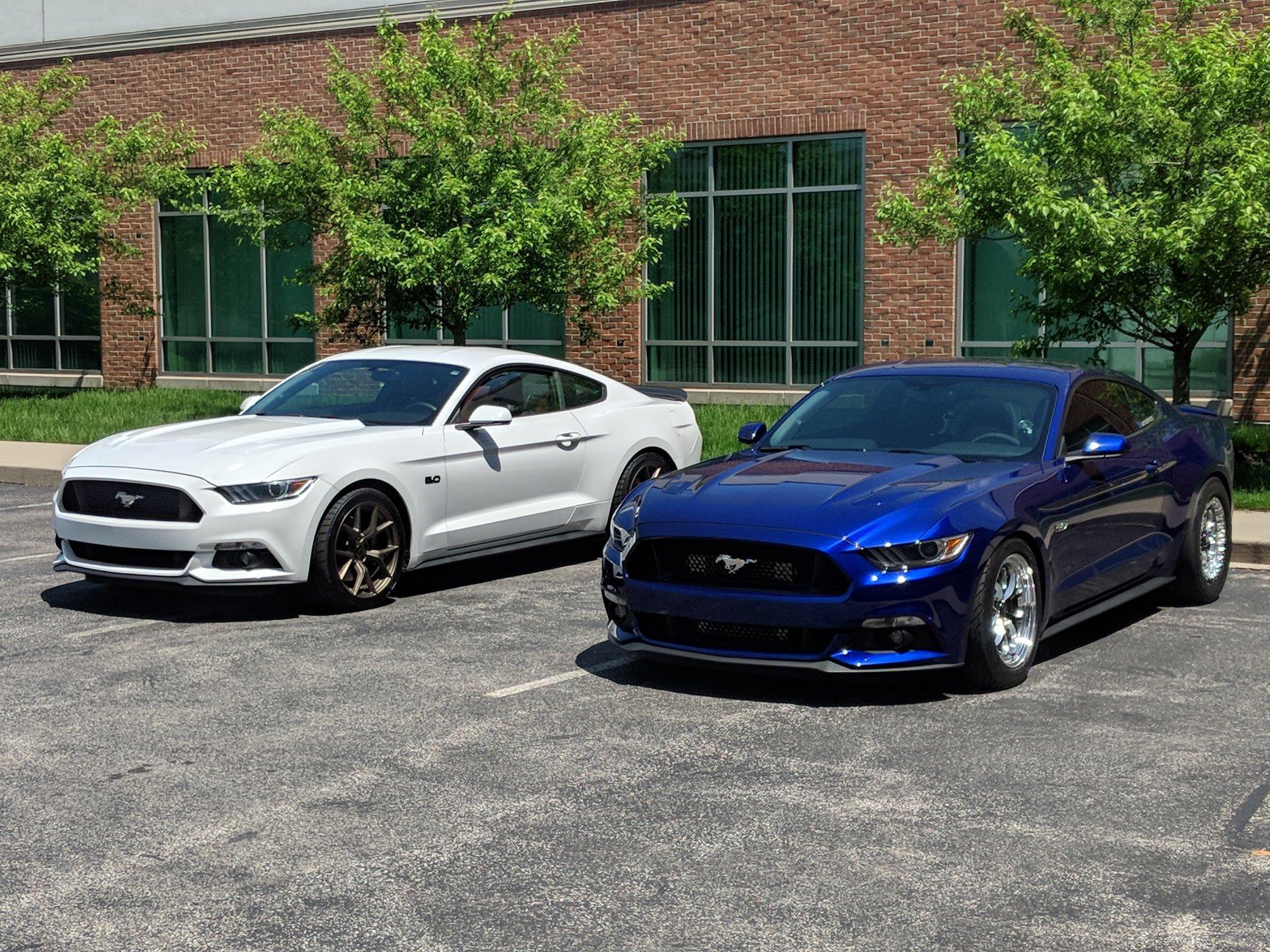 work whips.jpg