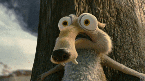 giphy.gif?cid=790b76115d03f6853877736e7309da56&rid=giphy.gif