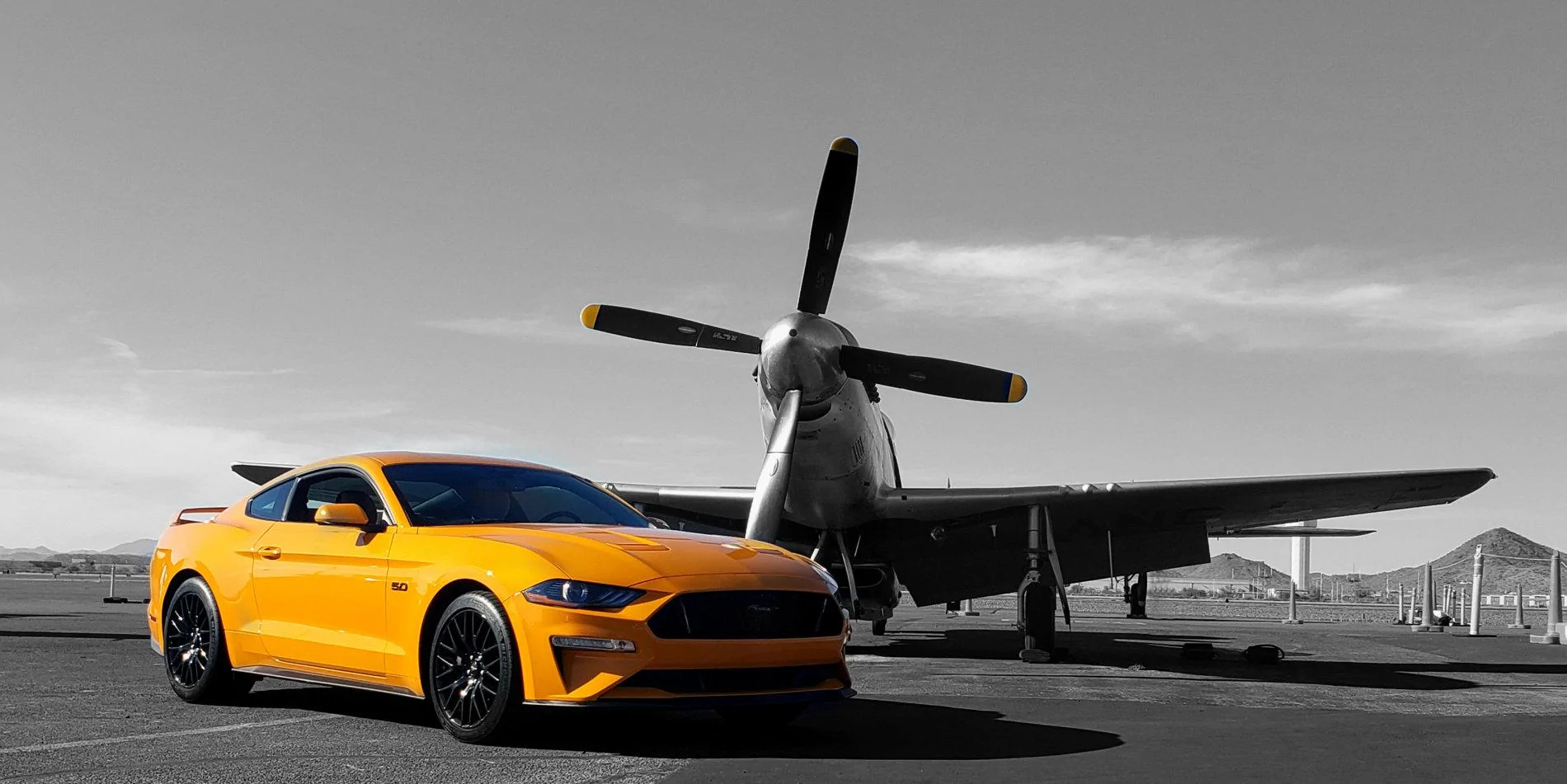 P51 Mustang 2.webp