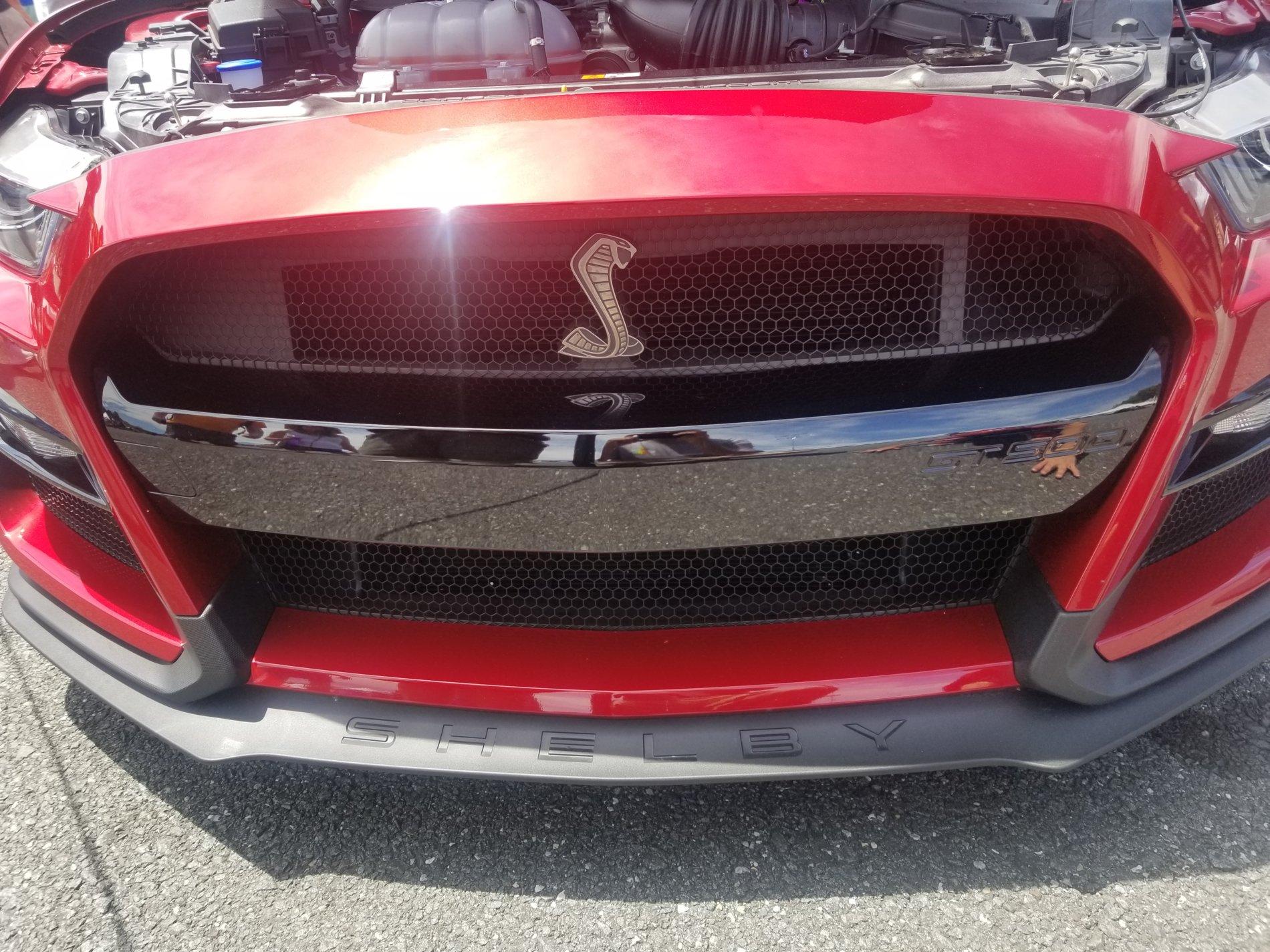 20190615_135444.jpg