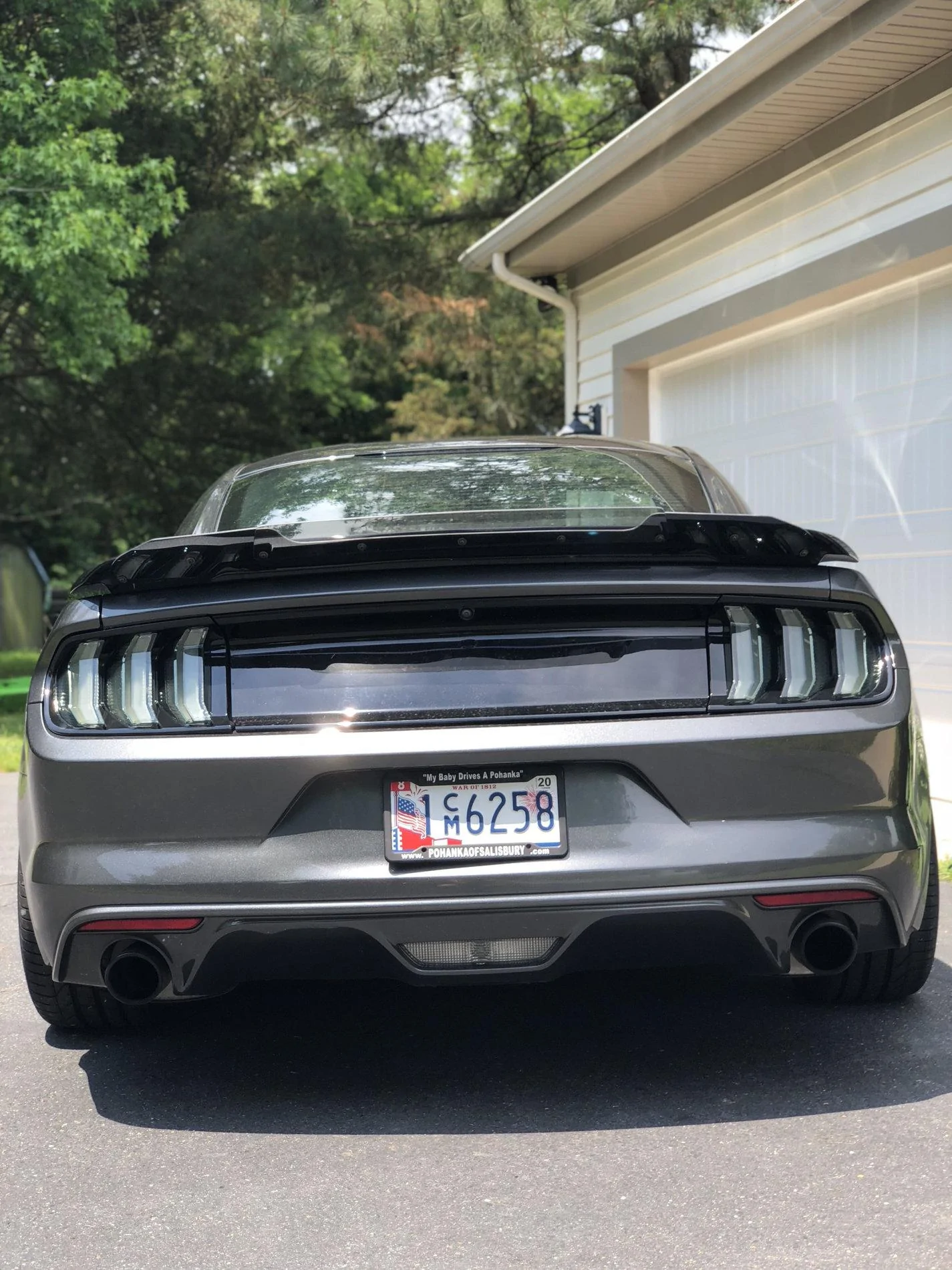 mustang rear.webp