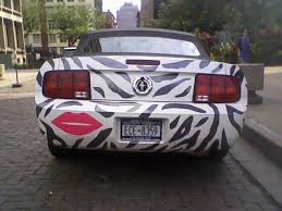 Zebra2.jpg