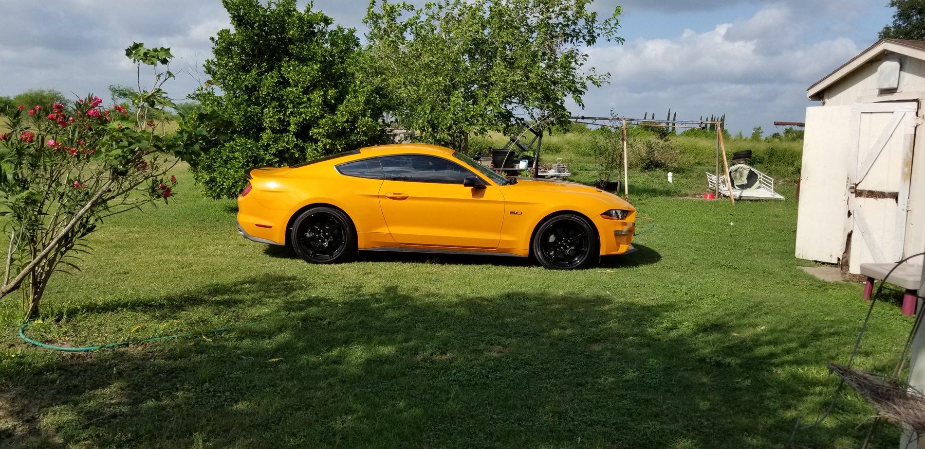 20190616_095247.jpg