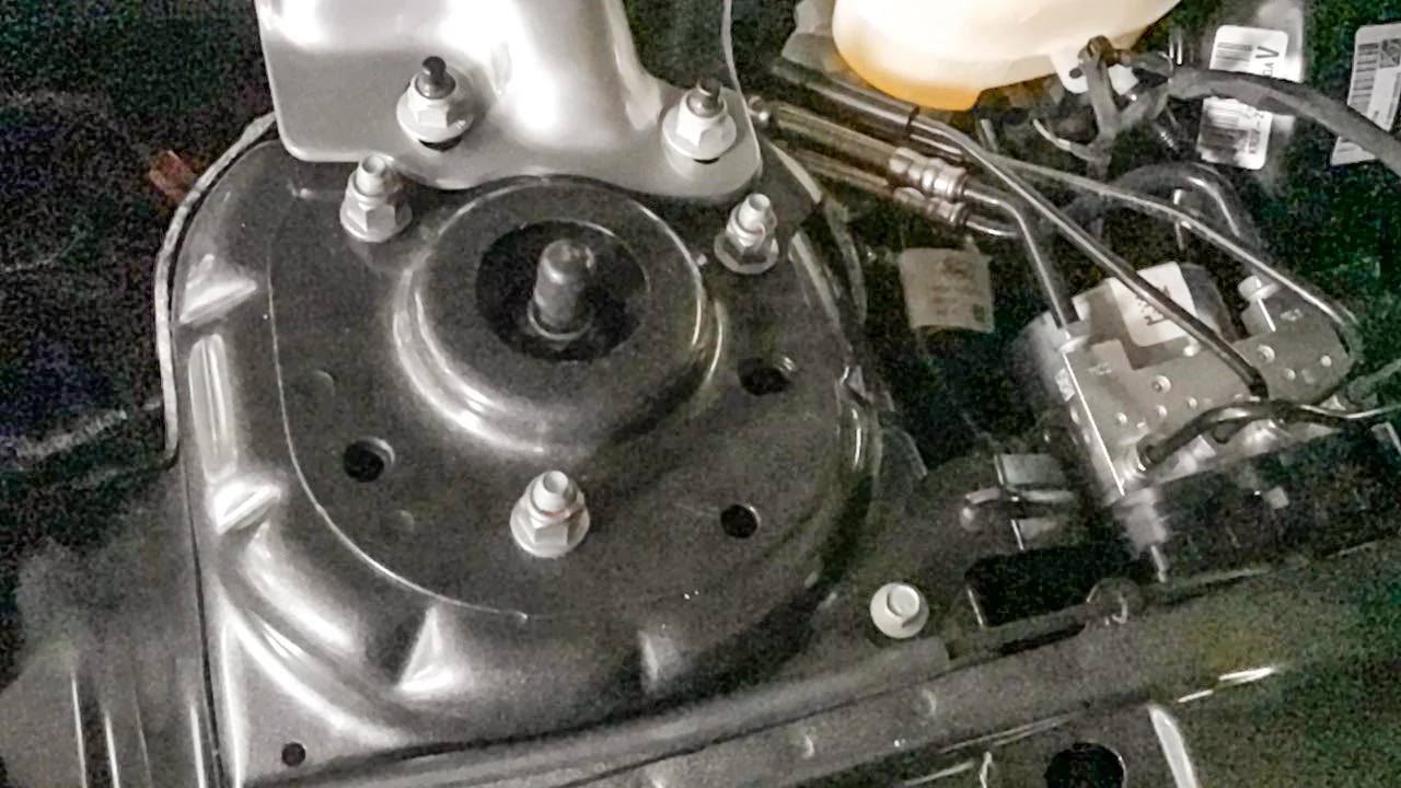 adjustable.webp