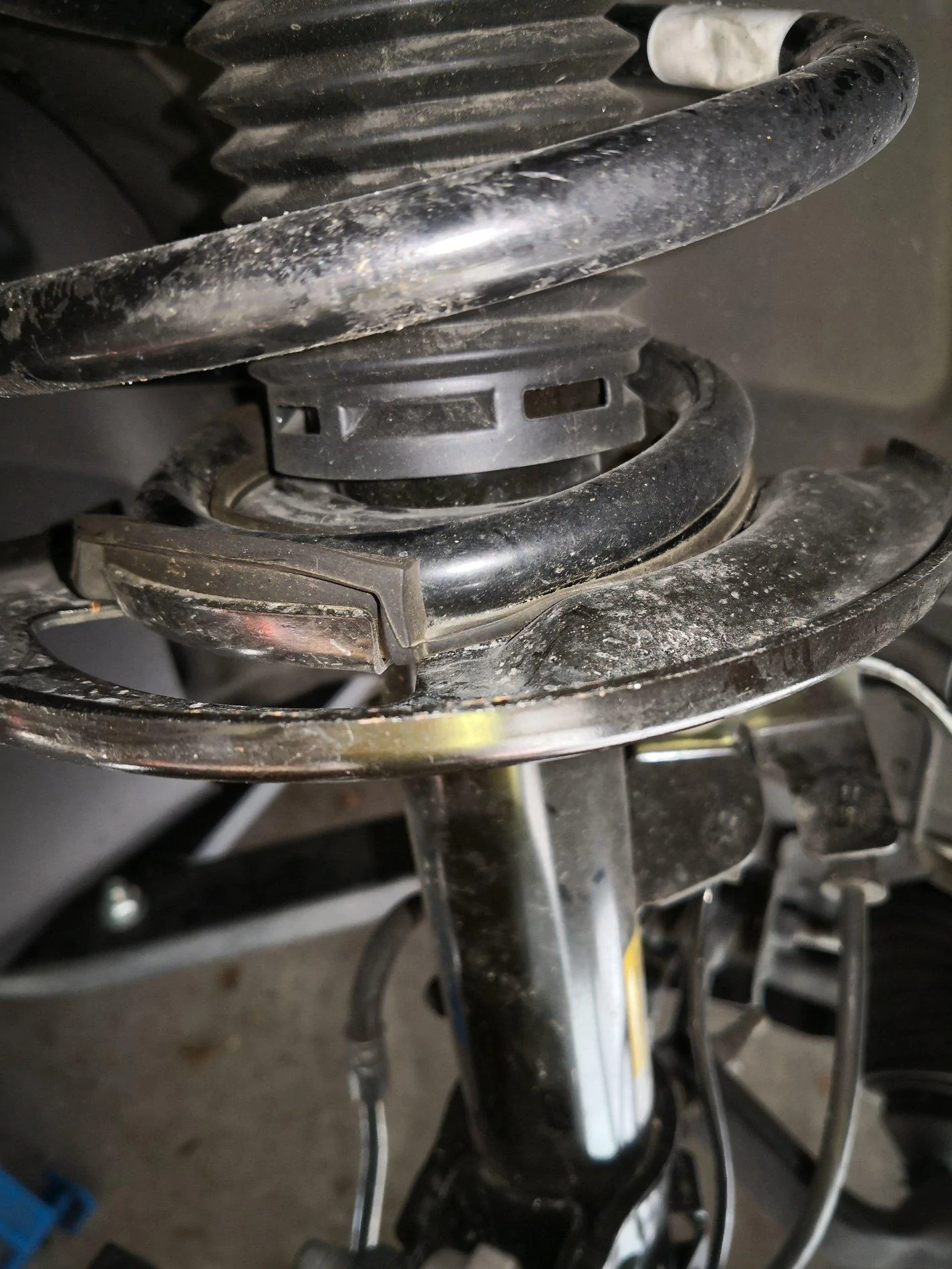 GT350 Spring Perch Photo.webp