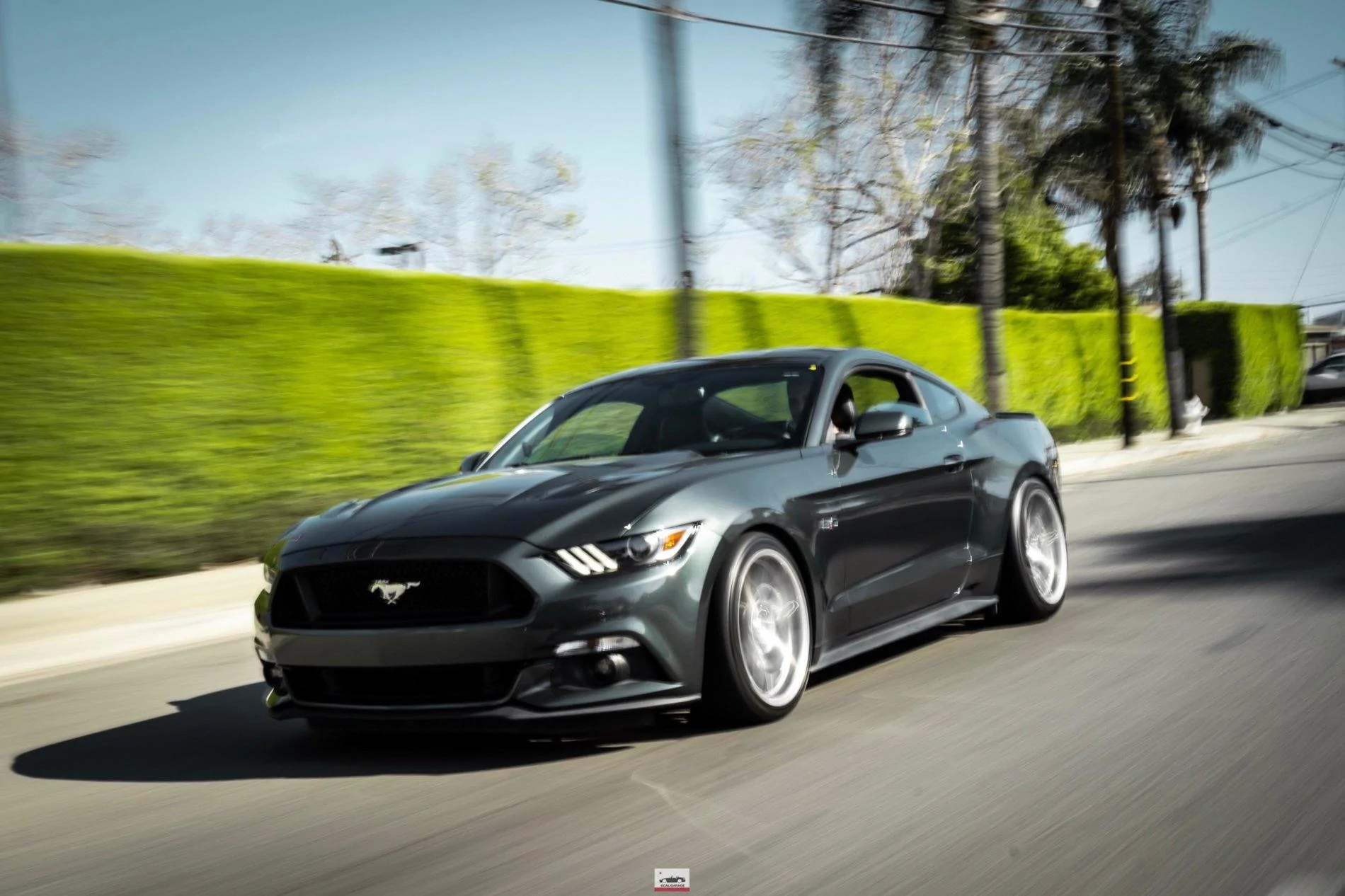 Roller.webp