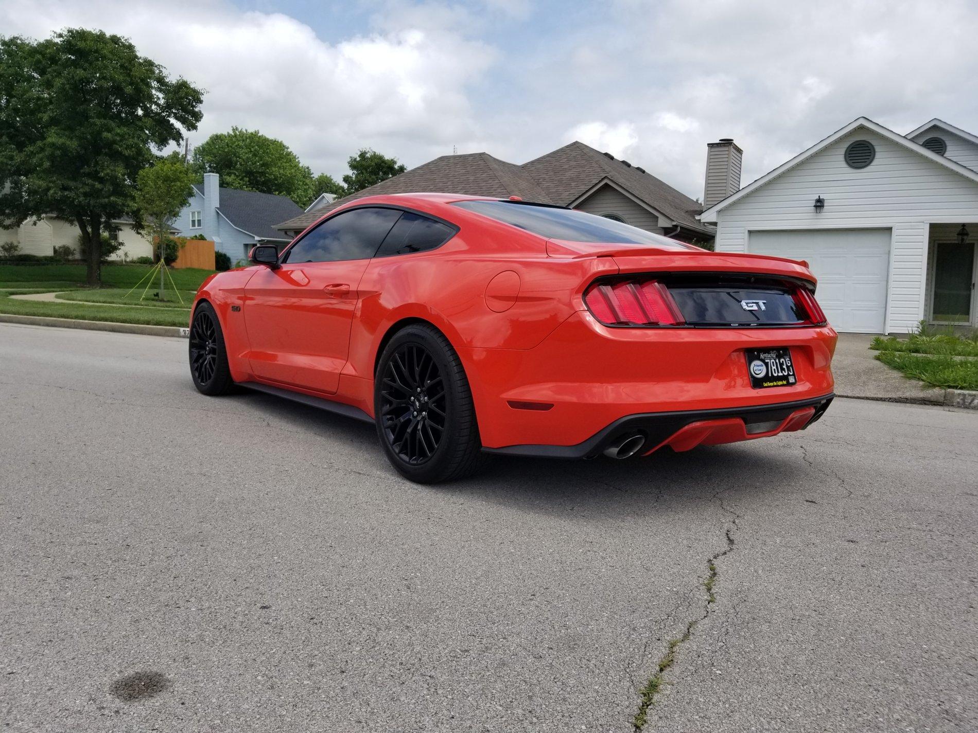 20190623_151346.jpg