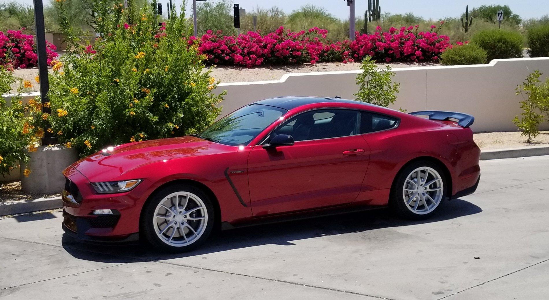 GT350.jpg