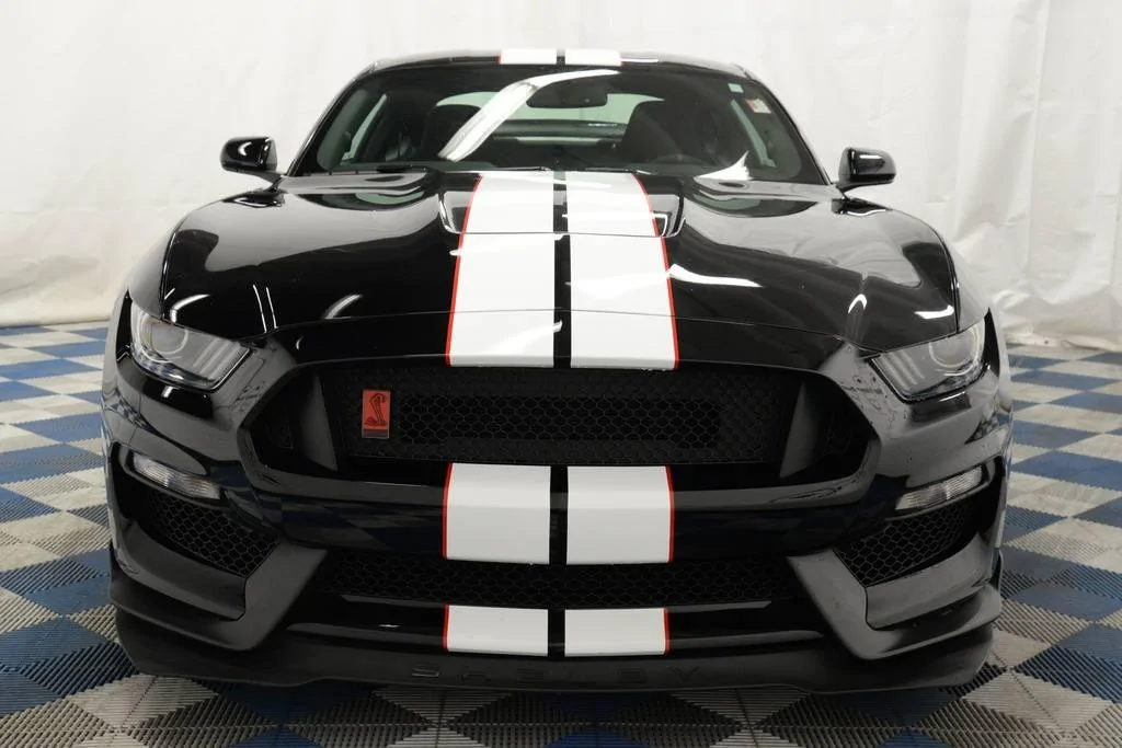 4269ae4b-82f4-44af-8336-45c29b2ac30a-original.webp