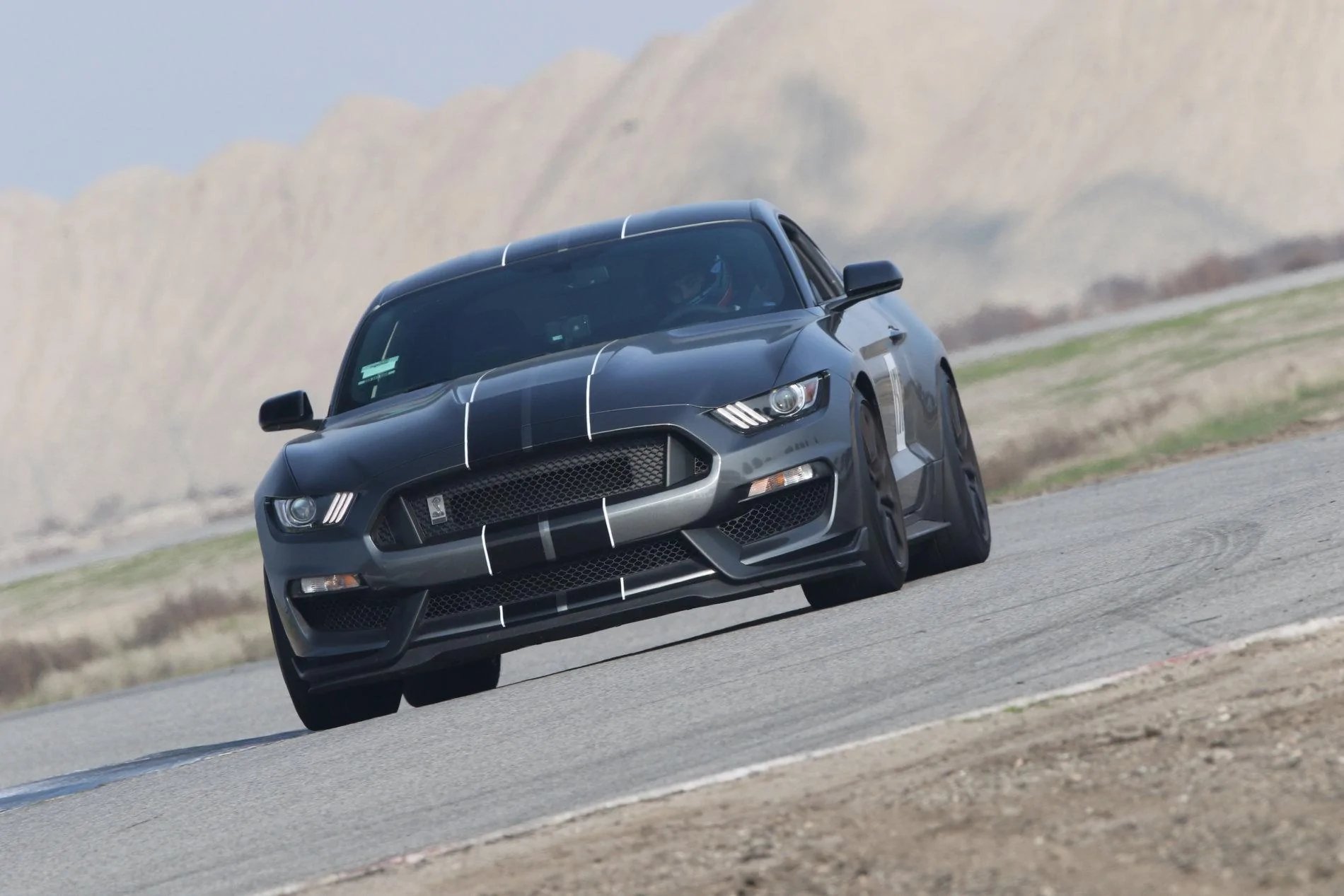 image1 (1).webp