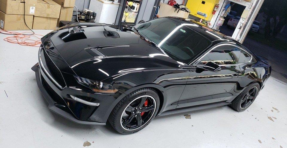 Mustang.jpg