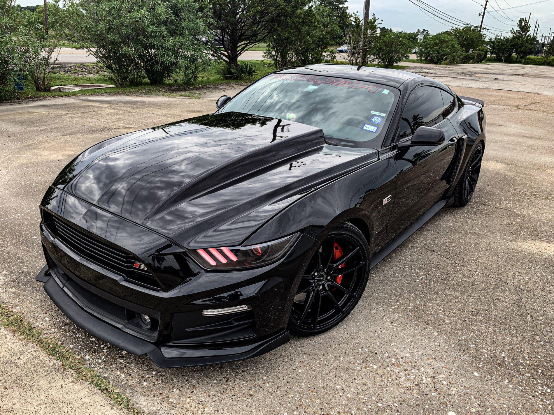 VF5(3).jpeg