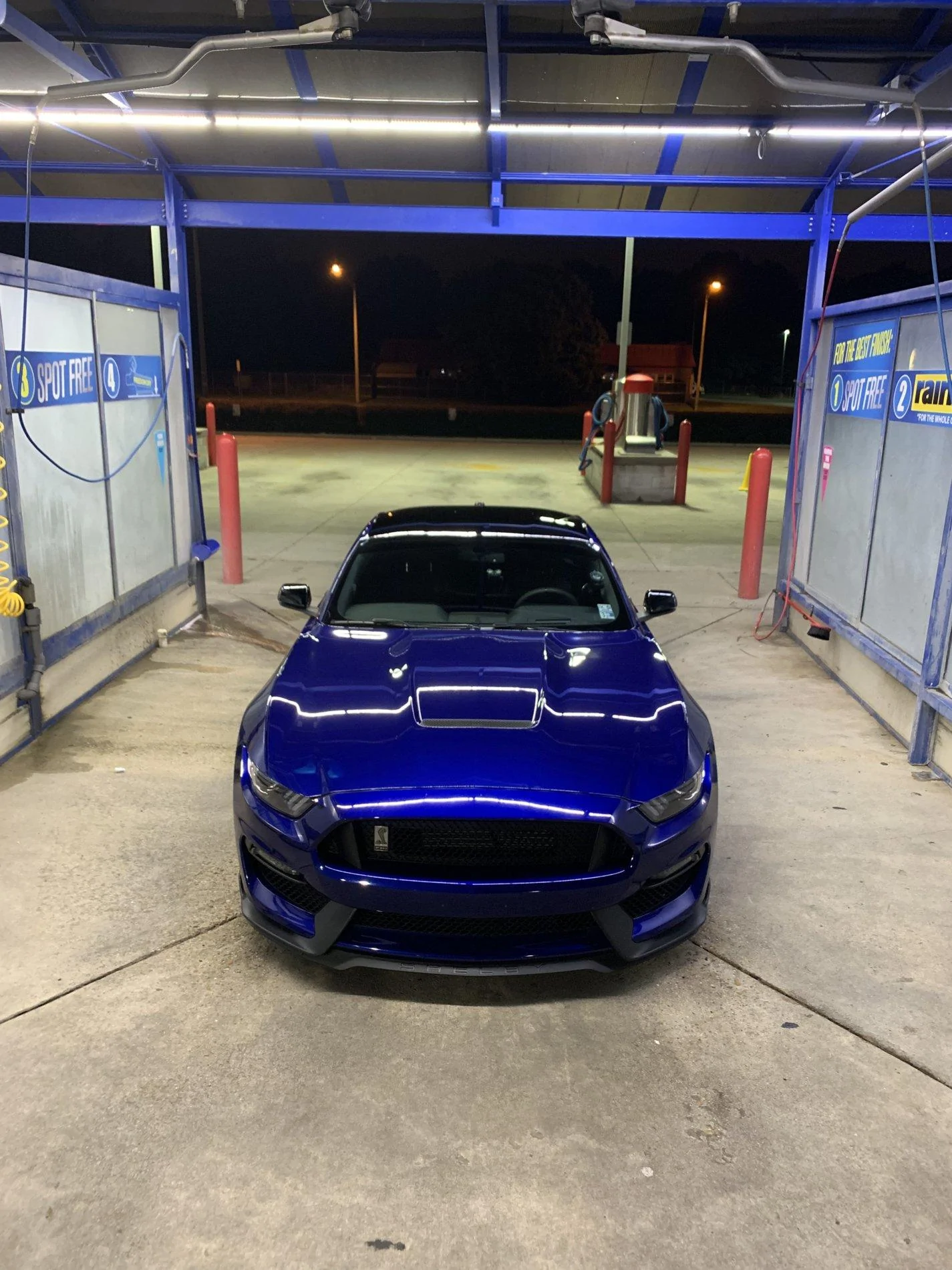 2CDFBAD5-4BDB-4A3E-9BF4-9DAB9F4A4140.webp