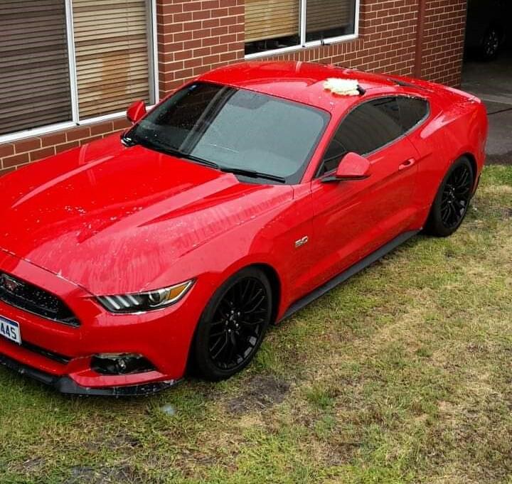 mustang.jpg